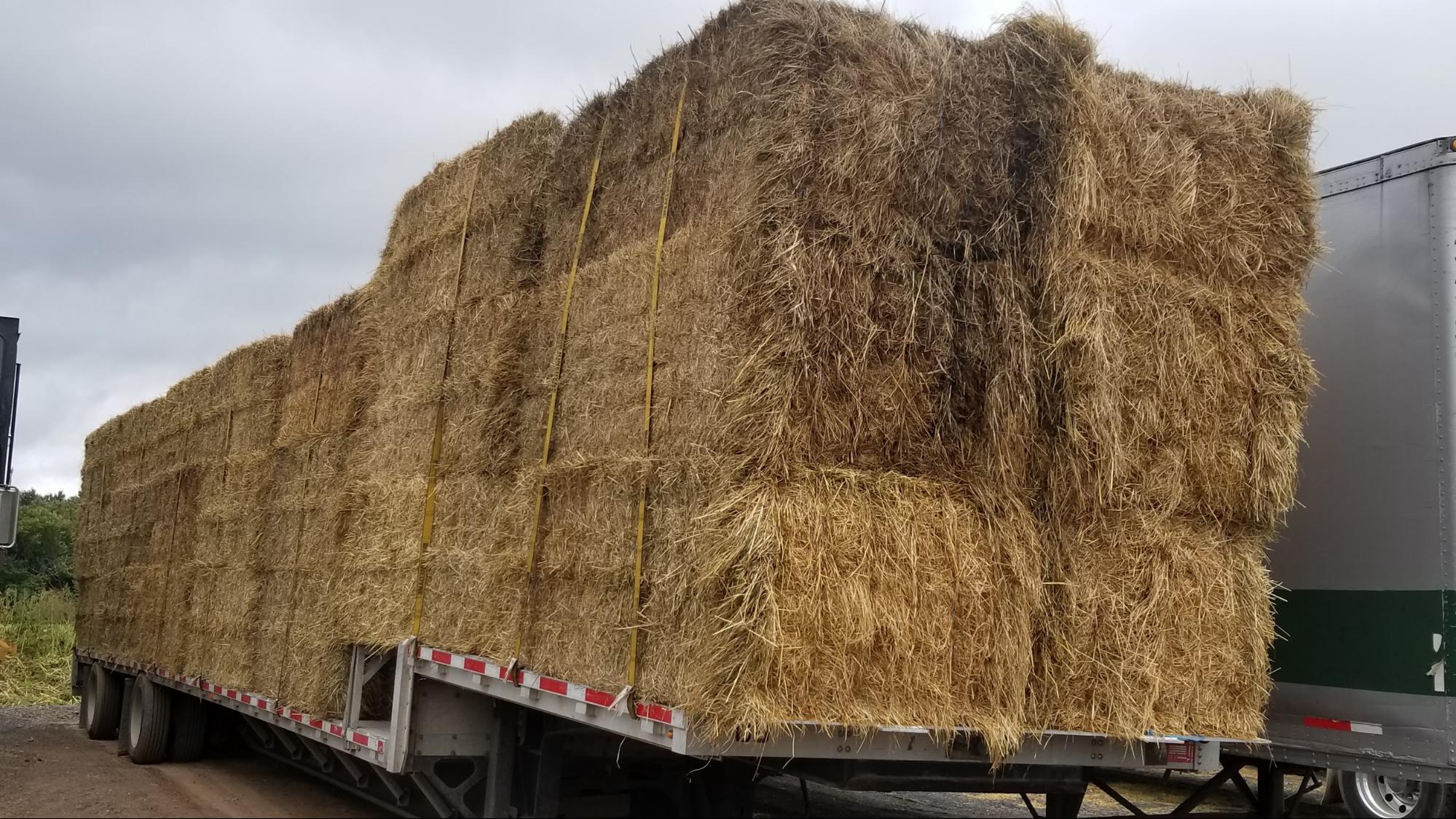 Mulch Hay Aden Brook